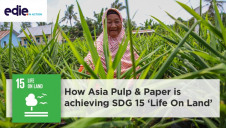 Through the lens of SDG 15, Asia Pulp & Paper is committed to  improving the livelihoods of the farmers and communities that it interacts with